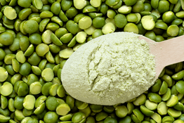 Organic Pea Protein